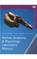 Human Anatomy & Physiology