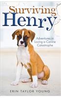 Surviving Henry