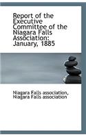 Report of the Executive Committee of the Niagara Falls Association