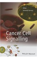 Cancer Cell Signalling