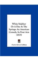 White Sulphur or a Day at the Springs