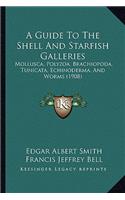 Guide To The Shell And Starfish Galleries