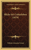 Blicke In's Culturleben (1879)