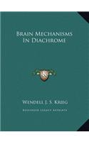 Brain Mechanisms In Diachrome: (English)