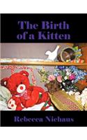 The Birth of a Kitten
