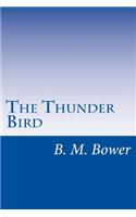 Thunder Bird