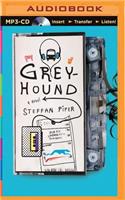 Greyhound