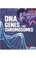 Dna, Genes, and Chromosomes