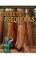 Secrets of the Sequoias