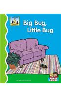 Big Bug, Little Bug: (First Words)