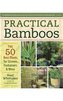 Practical Bamboos the 50 Best Plants for Screens, Containers & More
