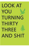 Look at You Turning Thirty-Three and Shit Notebook Birthday Gift: Lined Notebook/ Journal Gifts,120 pages, 6×9, Soft Cover, Matte Finish