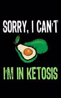 Sorry I Can't I'm in Ketosis for Avocado Lover: Ketosis Journal For An Avocado Lover's Lined Notebook / Journal Gift, 120 Pages, 6x9, Soft Cover, Matte Finish