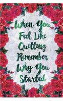 When You Feel Like Quitting Remember Why You Started