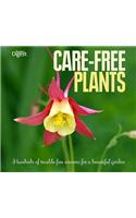 Care-Free Plants