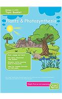 PLANTS PHOTOSYNTHESIS