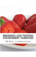 Breeding and Testing Strawberry Varieties