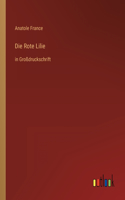 Die Rote Lilie: in Großdruckschrift