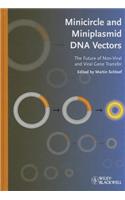 Minicircle and Miniplasmid DNA Vectors