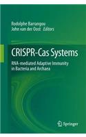 Crispr-Cas Systems