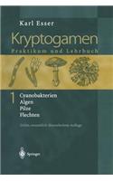 Kryptogamen 1