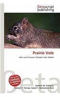 Prairie Vole