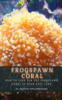 Frogspawn Coral