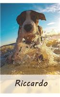 Riccardo
