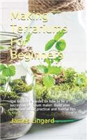 Making Terrariums For Beginners