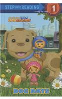 Team Umizoomi: Dog Days