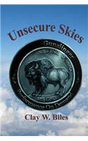 Unsecure Skies