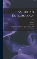 American Entomology