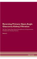 Reversing Primary Open-Angle Glaucoma: Kidney Filtration The Raw Vegan Plant-Based Detoxification & Regeneration Workbook for Healing Patients.Volume 5