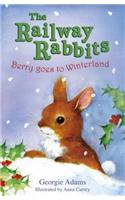 Berry Goes to Winterland: Book 2(2 Railway Rabbits)