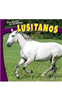 Lusitanos