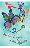 De la mariposa a la Libélula