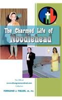 The Charmed Life of Noodlehead