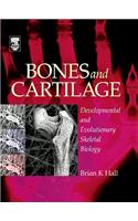 Bones and Cartilage