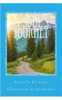 Soul's Journey