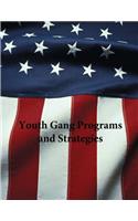 Youth Gang Programs and Strategies