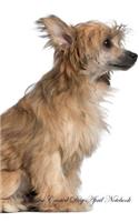 Chinese Crested Dog April Notebook Chinese Crested Dog Record, Log, Diary, Special Memories, to Do List, Academic Notepad, Scrapbook & More