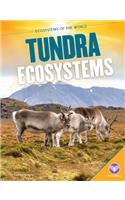 Tundra Ecosystems