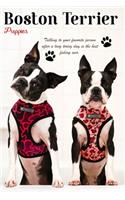 Boston Terrier Planner 2020 box