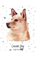 Canaan Dog 2020 Planner: Dated Weekly Diary With To Do Notes & Dog Quotes