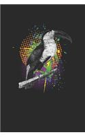 Toucan Color Splash