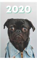 2020 Hunde Kalender