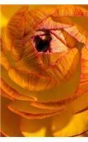 Ranunculus Notebook