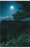 The Hacker-Proof Internet Address Password Book - Forest Moon