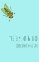 Size of a Bird