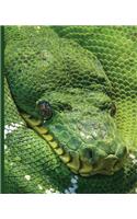 Green Snake Notebook: Green Snake Notebook: Viper Serpent: Wide Ruled - 100 Sheets - 200 Pages - 9.25 X 7.5 In. for School Office Home Student Teacher Use